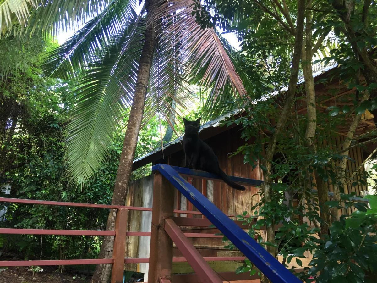 Hotel Phayam Garden View Koh Phayam Exterior foto