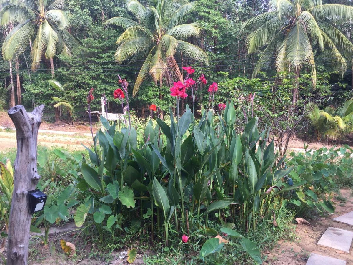 Hotel Phayam Garden View Koh Phayam Exterior foto