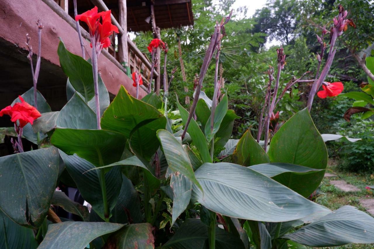 Hotel Phayam Garden View Koh Phayam Exterior foto